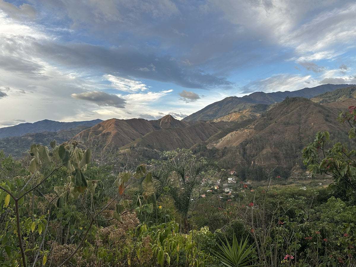 Sacred Valley landscape, Malacatos, Ecuador