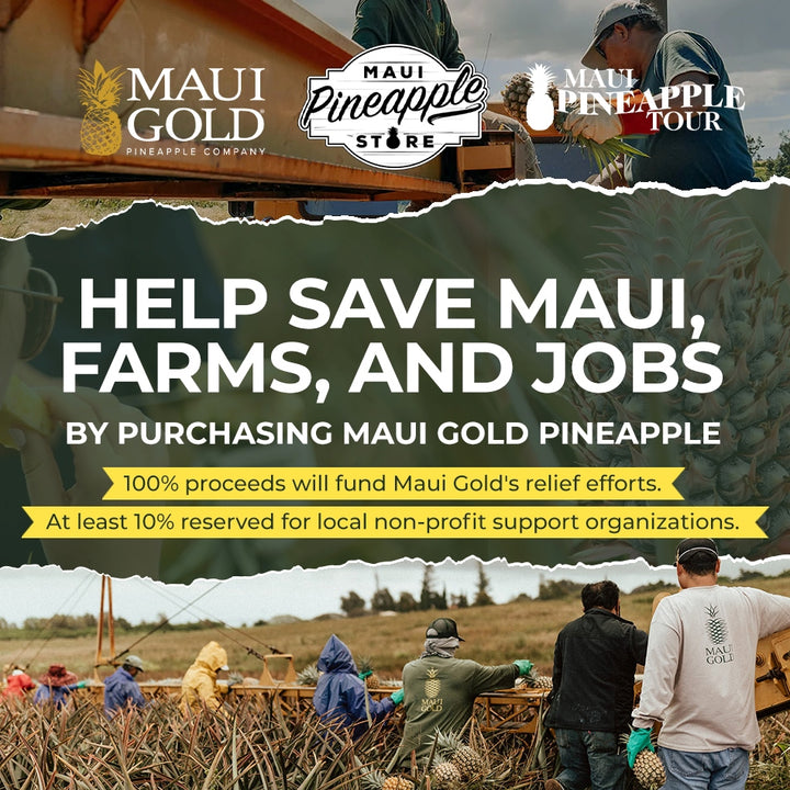 "Sweetening Lives: Maui Gold Pineapples - Supporting Lahaina Residents with Every Bite"