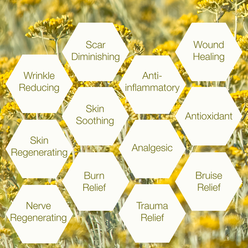 Helichrysum Essential Oil