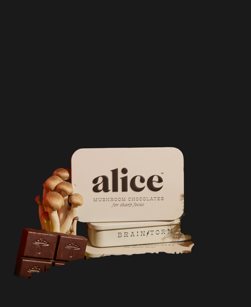 Alice Mushrooms - Brainstorm — mushroom chocolates for focus