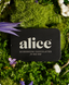 Alice Mushrooms - Nightcap — mushroom chocolates for deep sleep