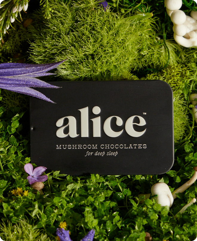 Alice Mushrooms - Nightcap — mushroom chocolates for deep sleep