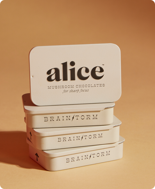 Alice Mushrooms - Brainstorm — mushroom chocolates for focus