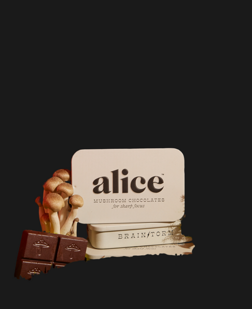 Alice - Mushroom Chocolates- – Raw With Peace Alice - Mushroom Chocolates- – Raw With Peace