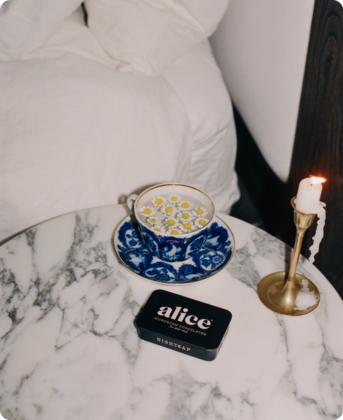 Alice Mushrooms - Nightcap — mushroom chocolates for deep sleep