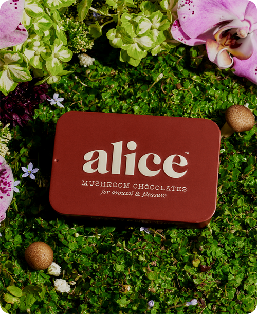 Alice - Mushroom Chocolates-