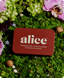 Alice - Mushroom Chocolates-