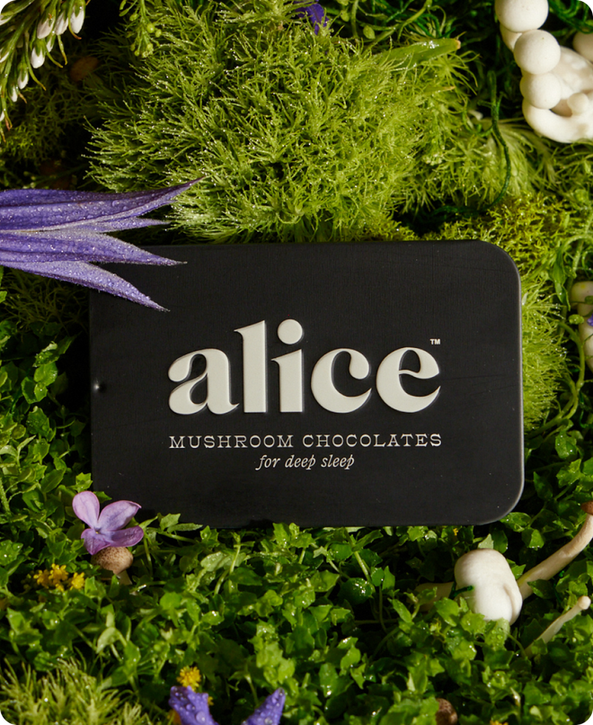 Alice - Mushroom Chocolates-